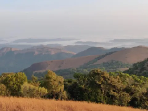 Paradise Wild Hills Kodachadri Hotels in Shimoga