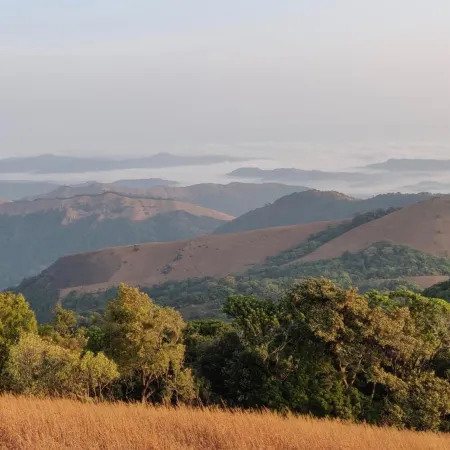 Paradise Wild Hills Kodachadri