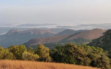 Paradise Wild Hills Kodachadri