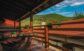 Casa Dives - Transylvania