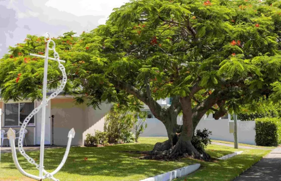 温納姆安可汽車旅館