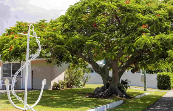 温納姆安可汽車旅館