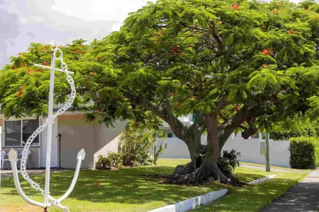 Wynnum Anchor Motel Отели в г. Виннум