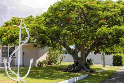 Wynnum Anchor Motel Hotels in Manly