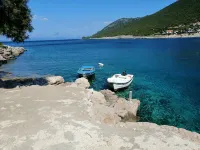 Apartment Zarace - Pet friendly