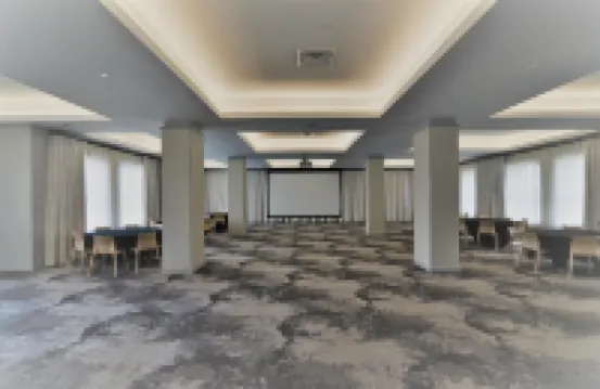 Angad Arts Hotel St Louis, Tapestry Collection by Hilton