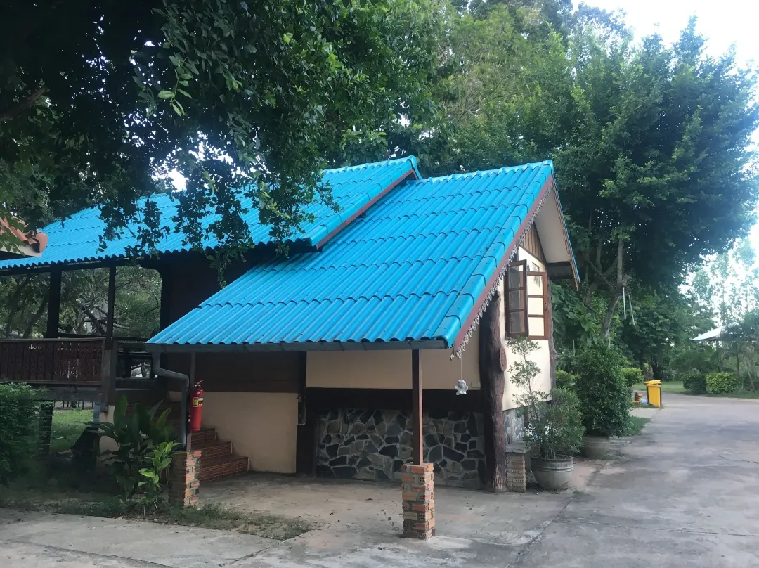 Forest - Roi Et
