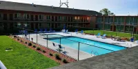Quality Inn & Suites - piscine