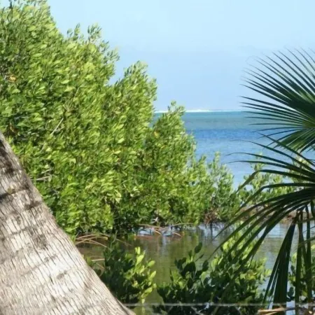 Moorea Surf Inn