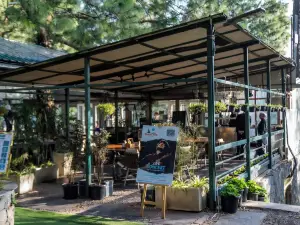 Kasauli Hills Resort