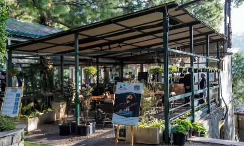 Kasauli Hills Resort