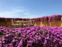 薩西宮殿酒店 梅塔酒店