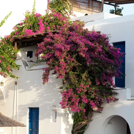 Antonina Hotel