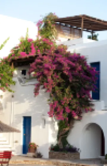 Antonina Hotel