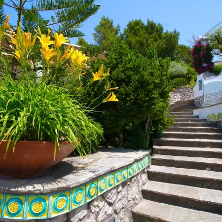 Capri Dream