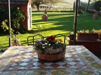 Tenuta Agricola Fonte di Papa Hotel a Fonte di Papa