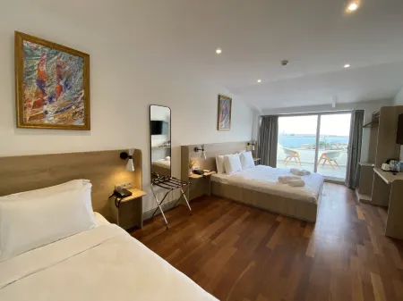 伊斯坦堡蘇丹艾哈邁德喬伊威酒店