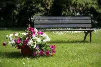 Hotel Bassetto Hotels in Collepardo