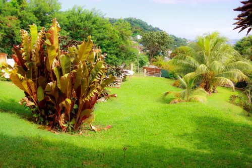 Forst Villa Hotels in Kingstown