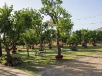 Giardino di Nonno Lucio - Surrounded by Lemon Tree Hotels in Piano di Sorrento