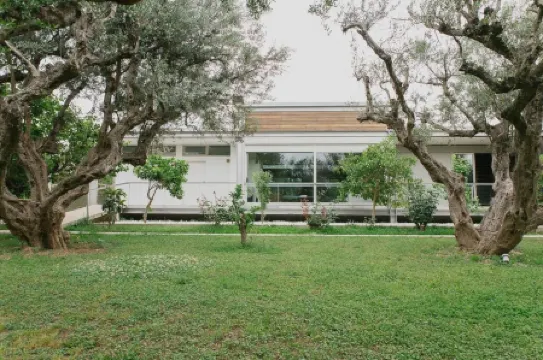 Studio Rio Unique Space with Garden and Garage