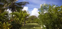 Mango Villa- Come relax & unwind in this seaside retreat! Hotels in 