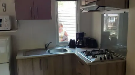 Mobil Home Face au Mont Blanc, Lac de Passy Отели в г. Паси