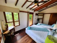 FOREST VIEW AND OCEANFRONT VIEW - SEVERAL OUTDOOR SPACES  - DIRECT BEACH ACCESS