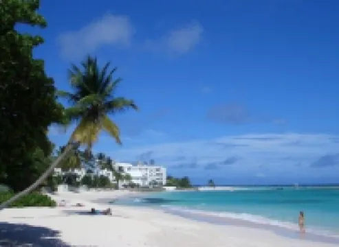 Reach Out and Touch Barbados