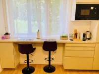 Attractive renovated apartment including secure covered parking, 10 min from Paris