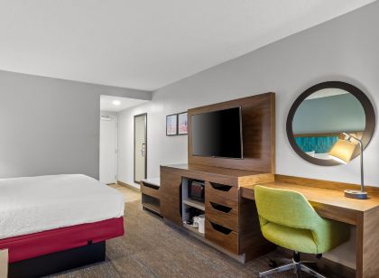 햄프턴 인 잭슨빌 폰테 베드라