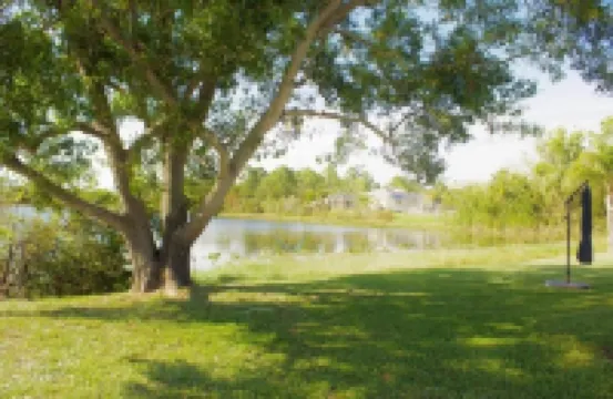 Florida Sunset by the lake