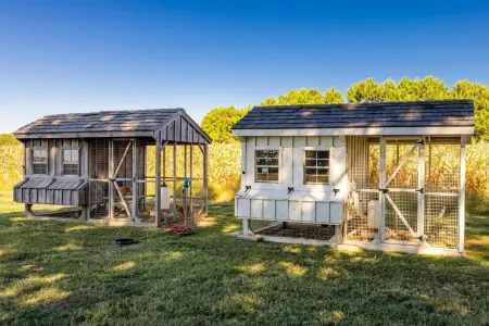 Alpaca Farm on Chesapeake Bay - 86 Private Acres, Heated Pool, Beach, 600' Pier