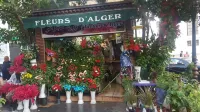 Algiers - Didouche Mourad - Place Audin Các khách sạn gần Alger Port