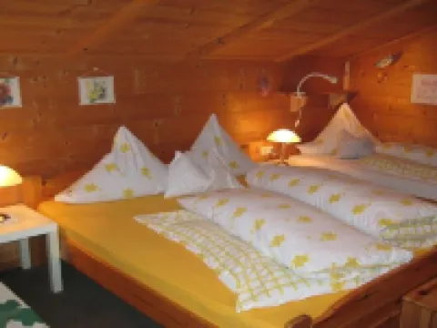 Large app.3-6p,2separate bedrooms,log cabin,cozy,quiet,sunny,close to the center Hotels in Kleinarl