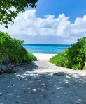 Beach Bliss by 7M Beach