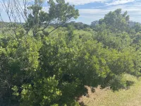 The best OBX sunsets