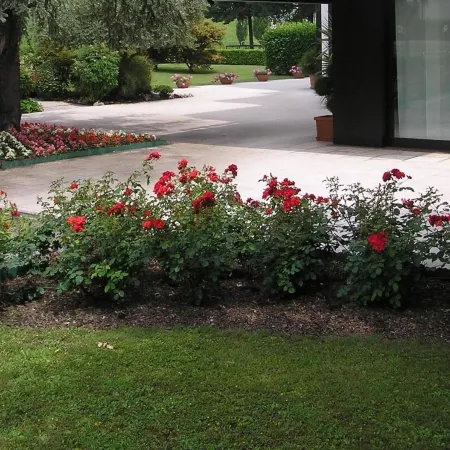 Hotel Giovanni Отели рядом с достопримечательностью «Станция Padova»