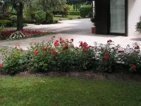 Hotel Giovanni Hotels near Padova Fiere