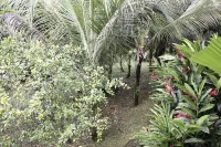 Big Falls Extreme Adventures Hotels in 