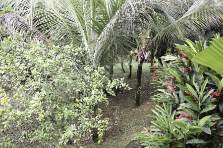 Big Falls Extreme Adventures Отели в г. Пунта-Горда