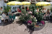 Astoria Hotel Hotels in Mitte-Gartenfeld