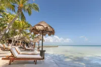Beachfront Hotel la Palapa - Adults Only