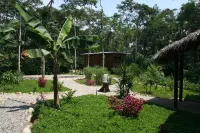 Hamadryade Lodge Hotels in 