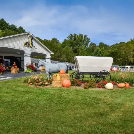 Carolina Motel