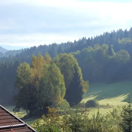 Landhotel GrünWies -Bonsai-Wellness Garni