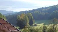 Landhotel GrünWies -Bonsai-Wellness Garni - Mountain view