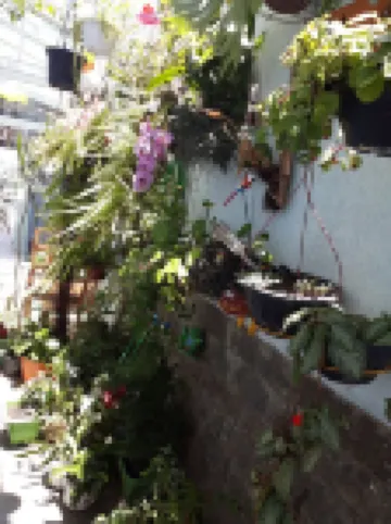 House Panoramic View - Carnival 2024 available