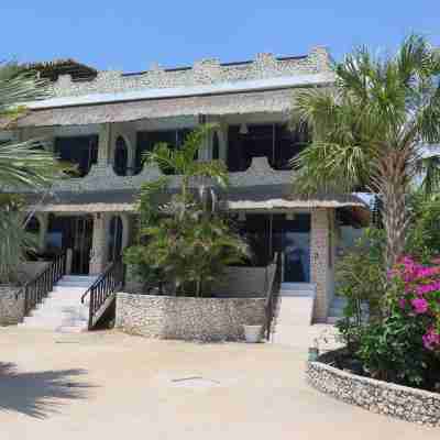 The Wild Orchid Resort - Moalboal Hotel Exterior