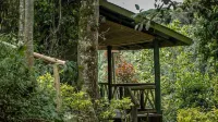 Gorilla Hills Eco Lodge Hotels near Ruhija Uganda